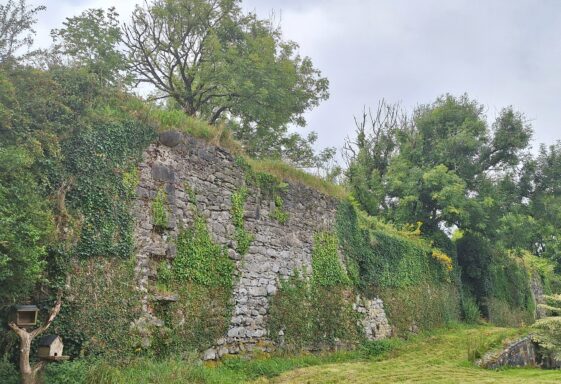 Moycullen Castle