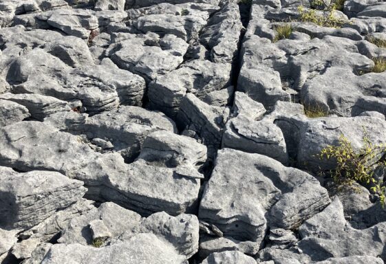 Gortnandarragh Limestone Pavement