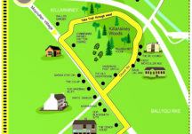 Killarainey Woods Trail
