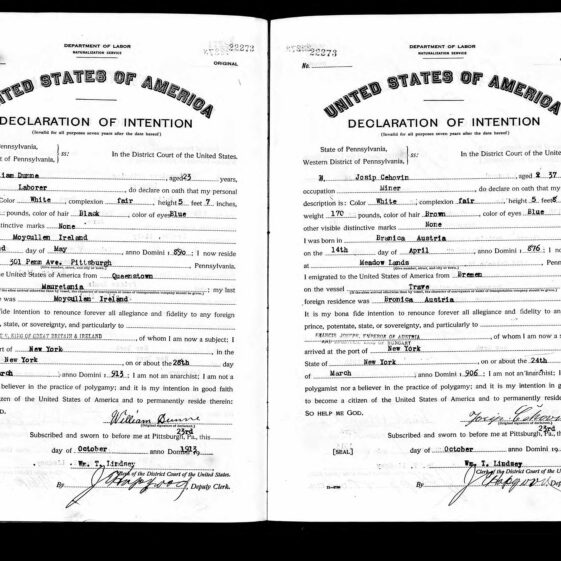 Pennsylvania, Federal Naturalization Record for William Dunne 23 Oct 1913