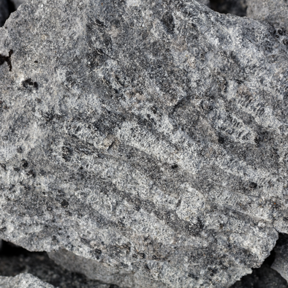 Coral-ly Speaking, Gortnandarragh Rocks!