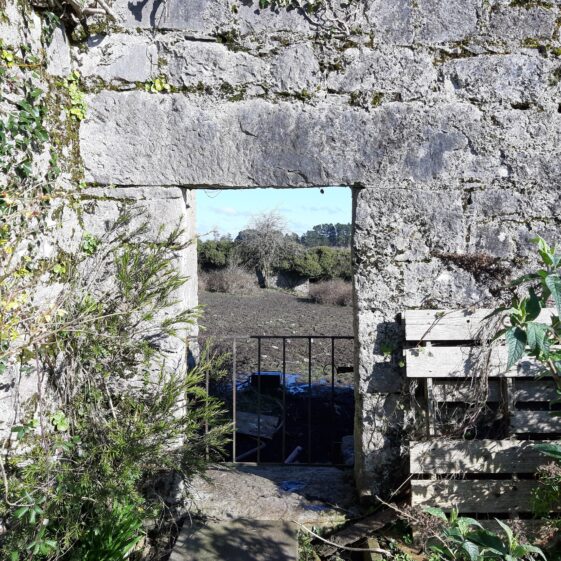 Deerfield Walled Garden - View into Upper Orchard, the division to Lower Orchard can be seen in the background | Hazel Morrison