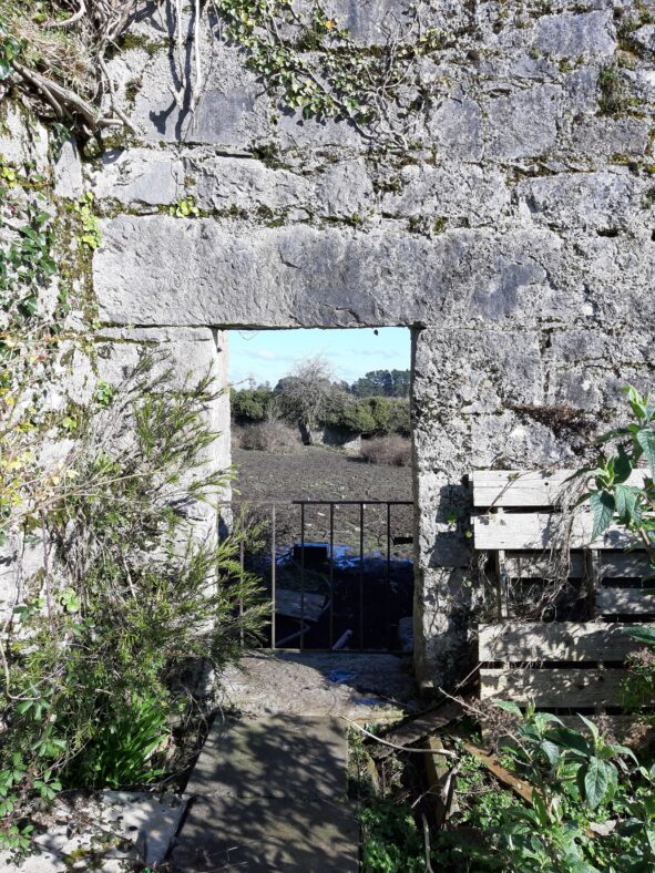 Deerfield Walled Garden - View into Upper Orchard, the division to Lower Orchard can be seen in the background | Hazel Morrison