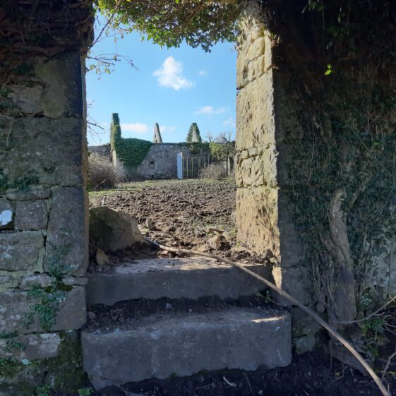 Deerfield Walled Garden - Steps in the divisional wall leading from Lower Orchard to Upper Orchard | Hazel Morrison