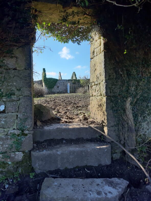 Deerfield Walled Garden - Steps in the divisional wall leading from Lower Orchard to Upper Orchard | Hazel Morrison