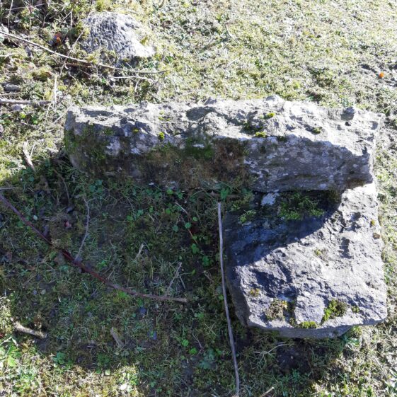 Fossiliferous Limestones by north wall of Lower Orchard at Deerfield | Hazel Morrison