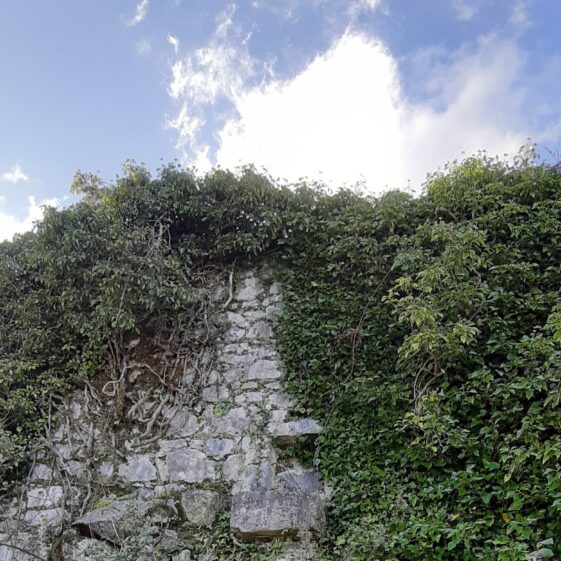 View of 'communion opening' in north wall from outside the Lower Orchard at Deerfield | Hazel Morrison