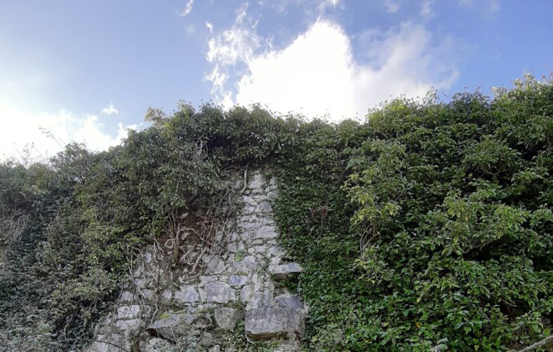 View of 'communion opening' in north wall from outside the Lower Orchard at Deerfield | Hazel Morrison