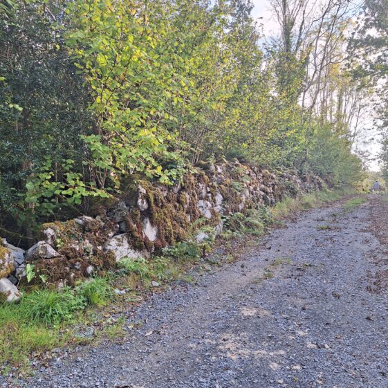 20230908_182255 Routeway through Stonepark linking Gortaghokera to Leagaun. | Hazel Morrison