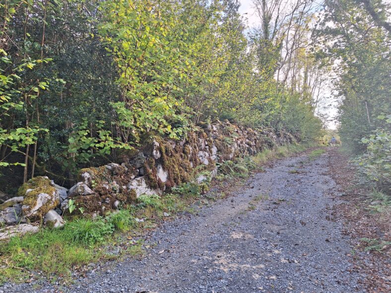Routeway through Stonepark linking Gortaghokera to Leagaun. | Hazel Morrison