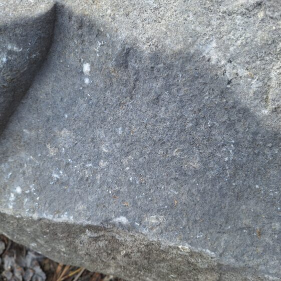 Fossils to Fishing