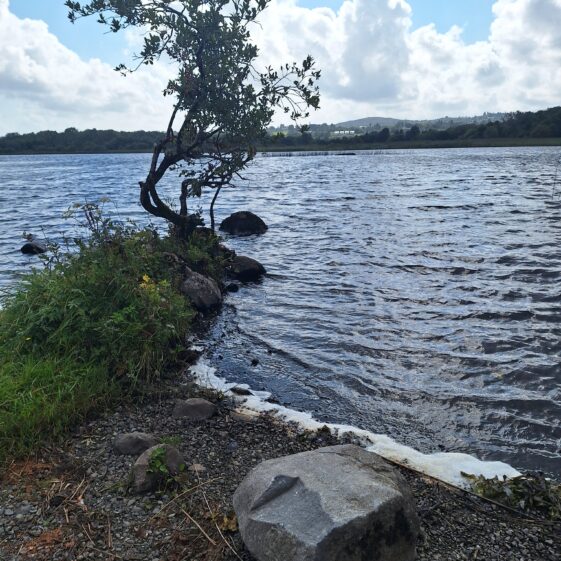 Fossils to Fishing
