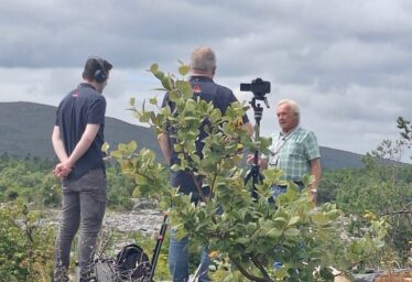 Behind the Scenes
