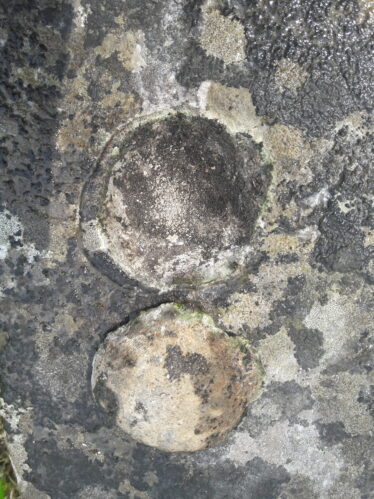 Brachipod Socket An tSean Reilig Maigh Cuilinn