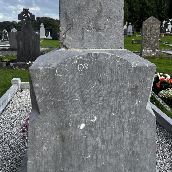 Brachipods Visible on a Celtic Cross in Maigh Cuilinn Graveyard