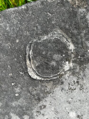 Close up of Brachipod found in a grave slab similiar to the slabs found in An tSean Reilig
