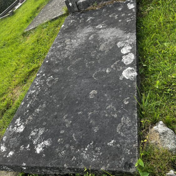 Brachipod found in a grave slab similiar to the slabs found in An tSean Reilig
