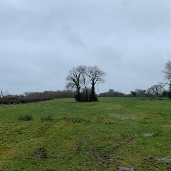 Currawatia’s name refers to a level, low-lying plain that is submerged during wintertime, when the waters of Lough Corrib rise.
 | Simone Leonard