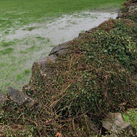Currawatia’s name refers to a level, low-lying plain that is submerged during wintertime.
The photo indicates the wet nature of the land.
 | Simone Leonard