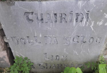 Lios an Gharráin/Lissagurraun