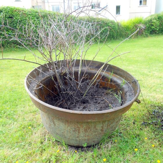 Moycullen Famine Pot