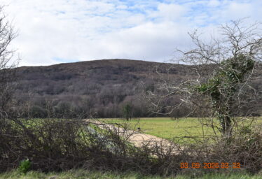 Gortnamona West