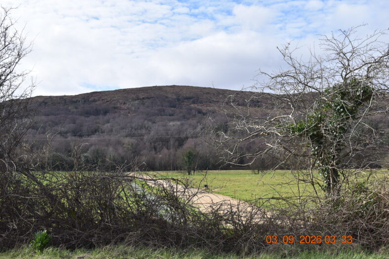 Gortnamona West From the Main Road. | Simone Leonard