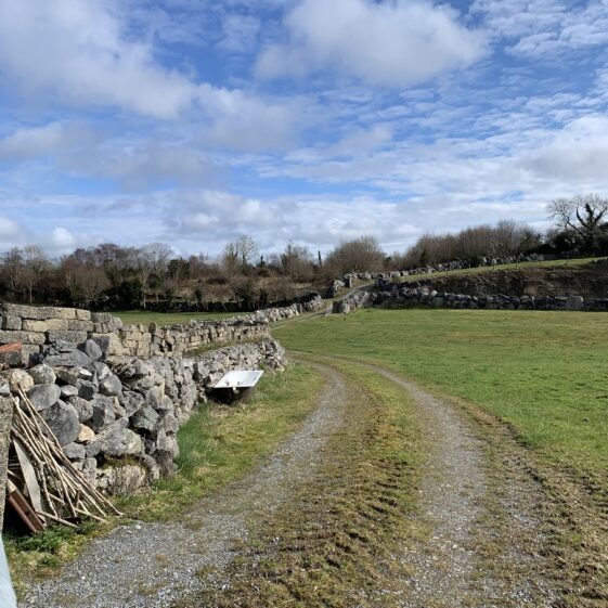 A field in Drimneen with a bathtub | Simone Leonard