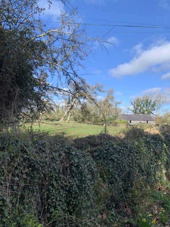 A view of an old shed from the road in Dovepark. | Simone Leonard