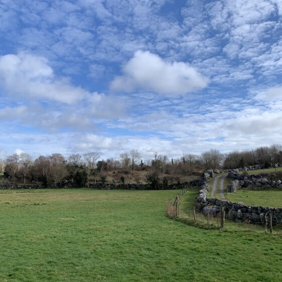 A road and field in Drimneen | Simone Leonard