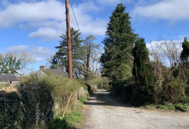 Dovepark