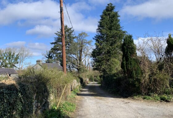 Dovepark