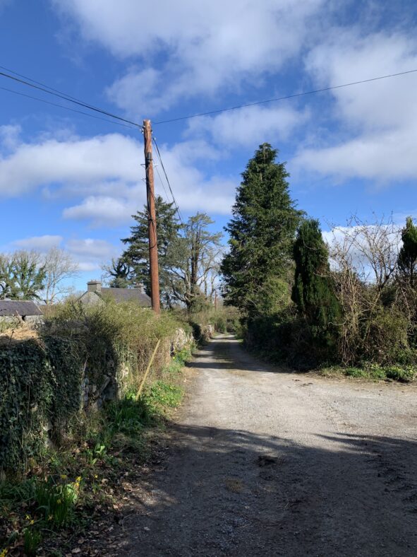 The main road in Dovepark. | Simone Leonard
