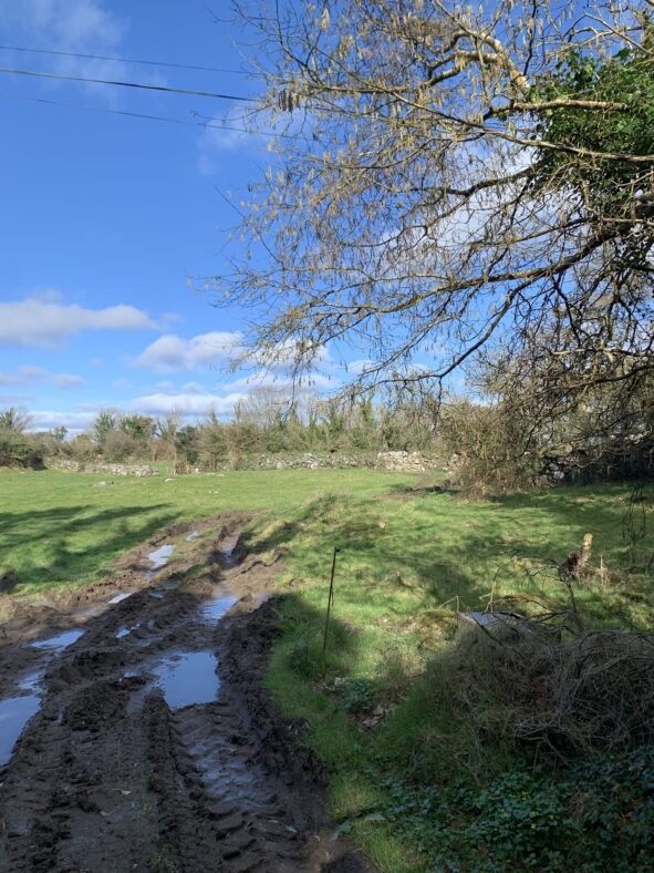 A field in Dovepark with muddy tire tracks. | Simone Leonard