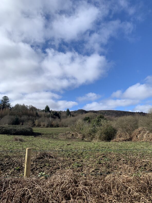 The townland extends into the hills of the area. | Simone Leonard
