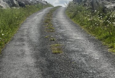 Minor Placenames/Mion Logaimneacha