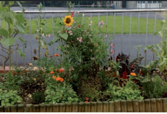 Biodiversity Guidelines for Homes and Communities