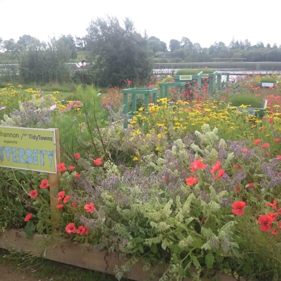 Pollinator-friendly flower bed