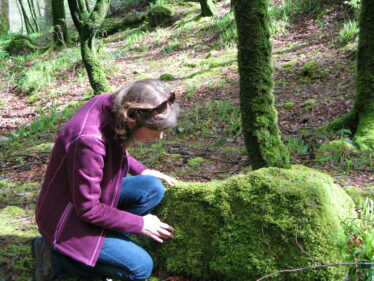 Recording nature