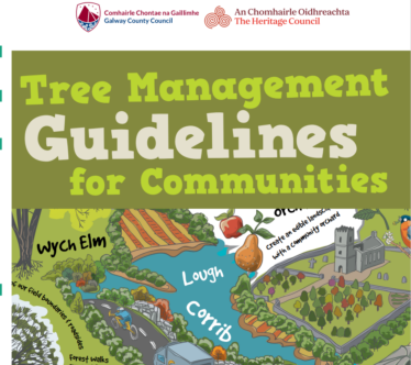 Tree Management Guidelines for Communities