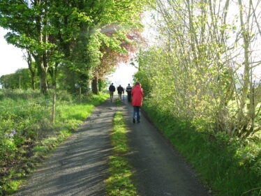 Nature Walks