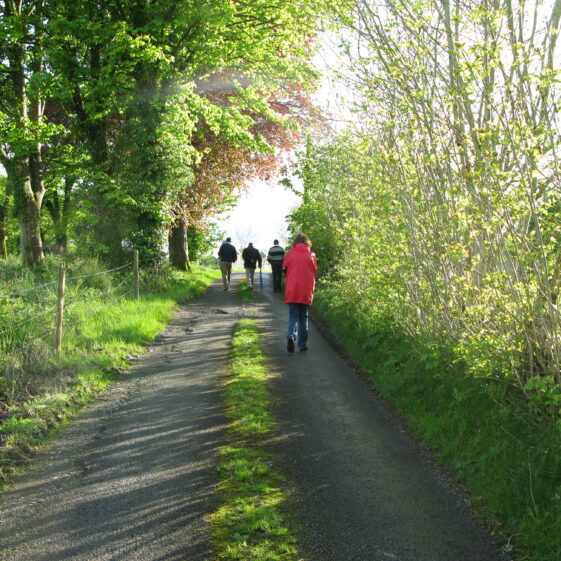 Nature Walks