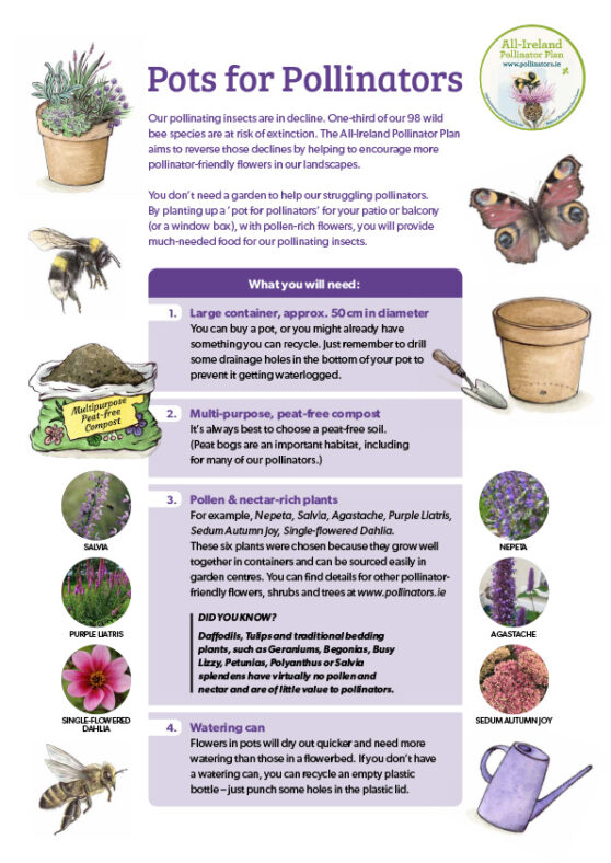 Pots for pollinators