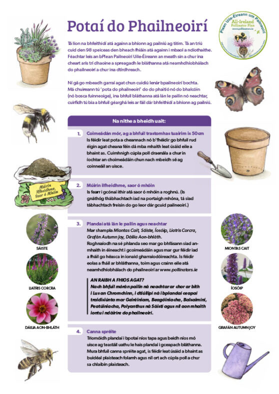 Pots for pollinators