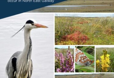 World Wetlands Day 2023
