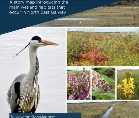 World Wetlands Day 2023