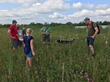Exploring the wetlands of North East Galway