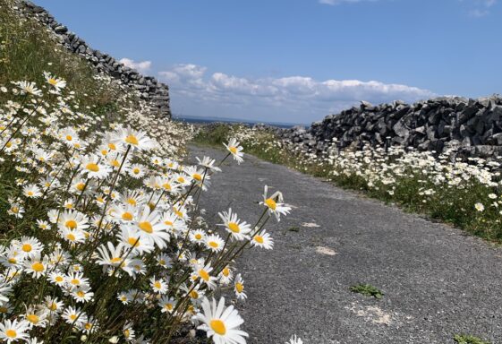 Pabhsaeir Inis Meáin