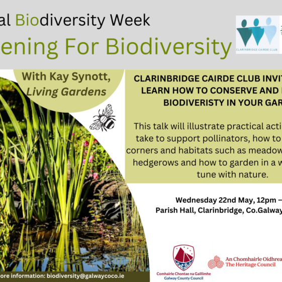 Gardening for Biodiversity with Kay Synott in Clarinbridge