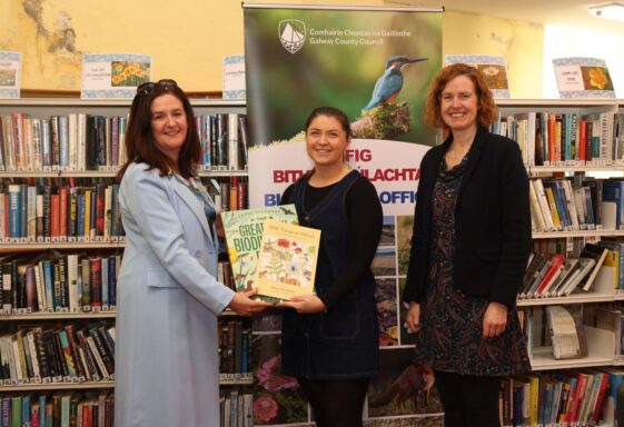 Golden Wings World Book Day Celebration